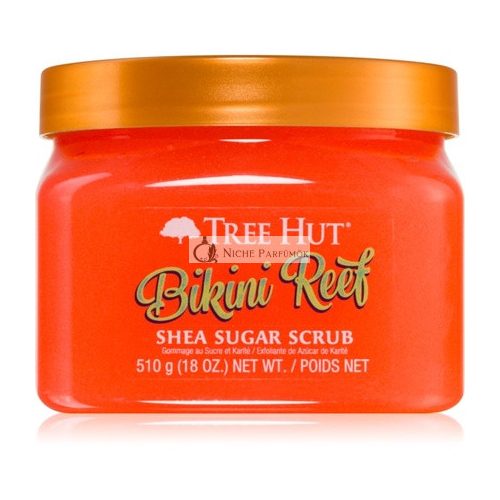 Bikini Reef Cukros testradír, 510g