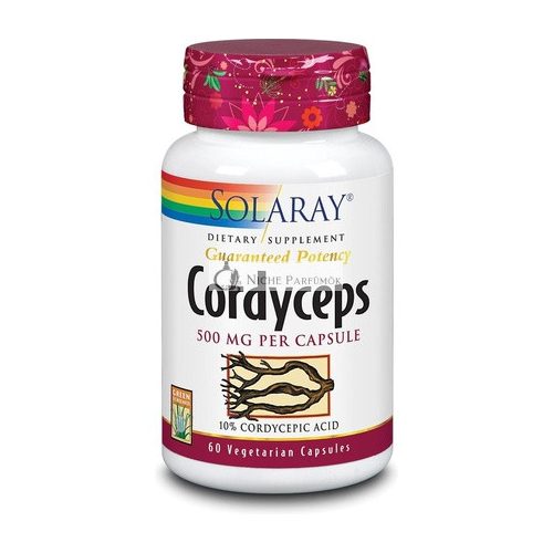 Solaray Cordyceps Extrakt 500 Mg 60 Kapseln