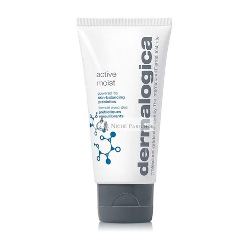 Dermalogica Aktive Feuchtigkeitspflege mit Präbiotika, 100 ml