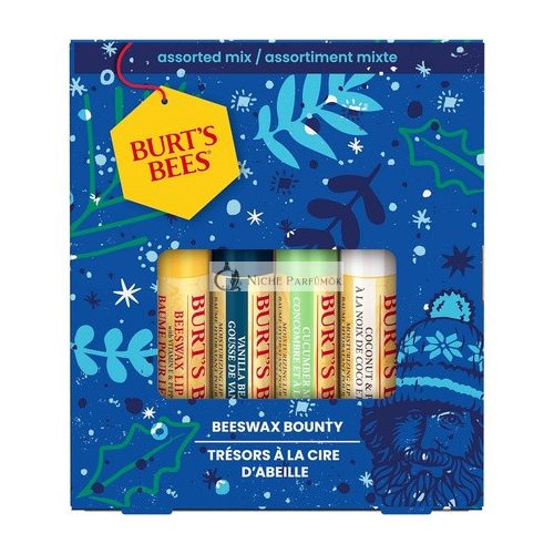 Burt's Bees Lippenbalsam Geschenkset - Bienenwachs, Vanille, Gurkenminze, Kokos