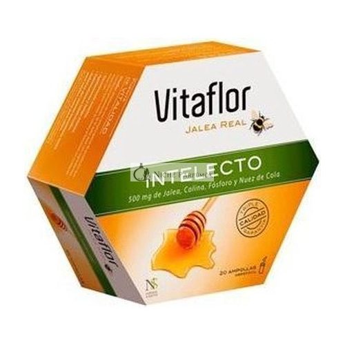 Vitaflor Gelée Royale Intelecto 20 Ampullen