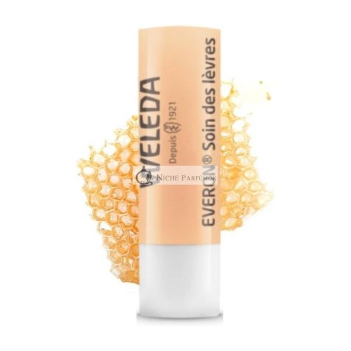 Weleda Everon Lippenbalsam mit Jojobaöl, 4.8g