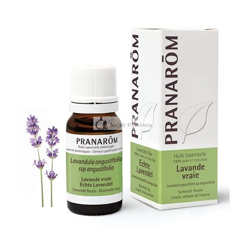 Pranarôm Echter Lavendel-Ätherisches Öl 10ml