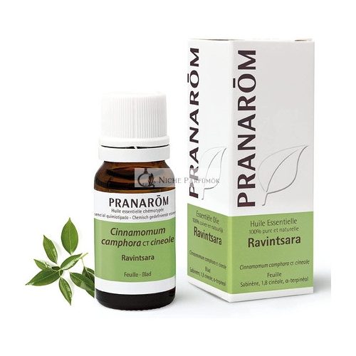 Pranarôm Ravintsara Ätherisches Öl 10ml