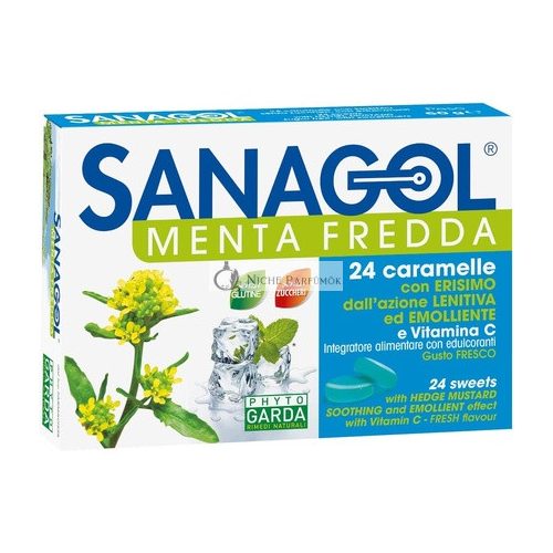 Phyto Garda Sanagol Kalte Minze Ergänzung 24 Bonbons