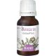 Eladiet Eukalyptus Essenz, 15ml