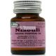 Niaouli Essenz 15ml