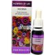 Flowers Of Life - Insomnia - Zertifizierte Organische Natürliche Blumenmittel, 15ml